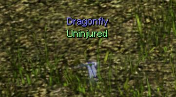 File:Dragonfly.jpg