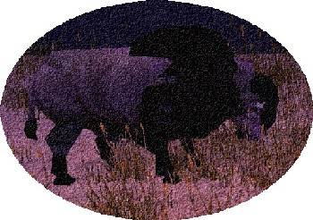 File:Celestial bison3.JPG